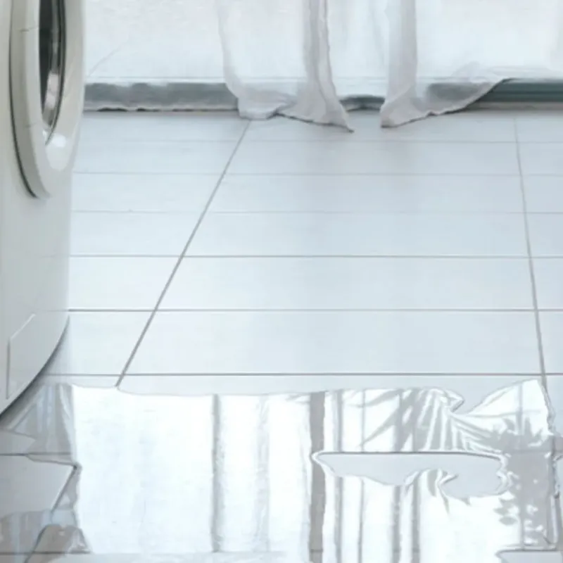 Appliance Leak Cleanup in Gibsonia, FL