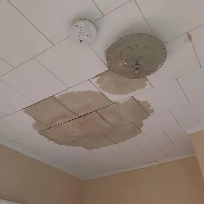 Ceiling Water Damage Repair in Gibsonia, FL